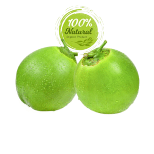 Pure Taste Fresh Coconuts Rich in Nutrients Agriculture Product