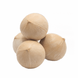 FRESH SIAMESE COCONUT_FROZEN SIAMESE COCONUT