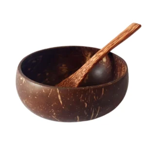 Natural Handmade Coconut Shell Bowl and Spoon High Quality