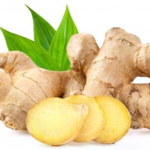 Top-Quality Spicy Fresh Ginger - Handpicked for Excellence