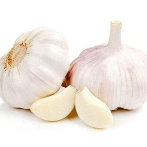 Seasonal Organic Homegrown Fresh Garlic New Dried Bulbs Purple Skin Farmhouse Food