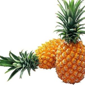 Organic Fresh Pineapple High Quality Super Sweet Natural