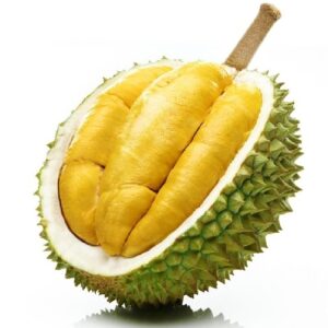 High Quality Fresh Durian in Nutrition Exotic Sweet Yellow Creamy Flesh