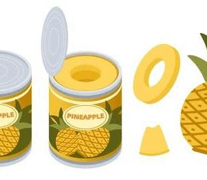 High Quality Canned Pineapple Slices