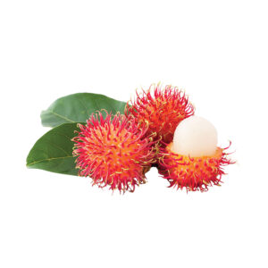 Organic Fresh Rambutans Fruit with High Quality Natural Sweetness