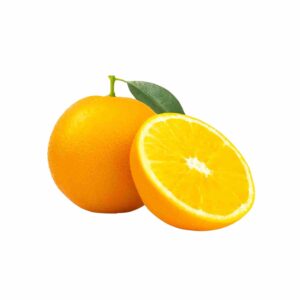High Quality Sweet Fresh Citrus Orange Fruit