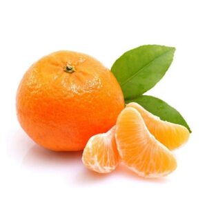 High Quality Sweet Fresh Citrus Tangerine Fruit