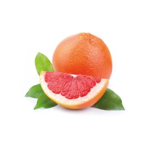 High Quality Sweet Sour Red Grapefruit Organic Citrus Fruit