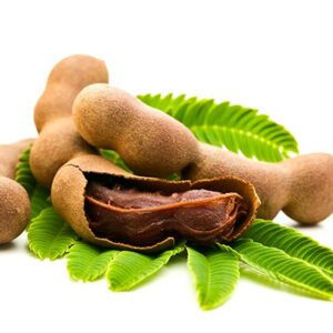 Premium Quality Organic Fresh Tamarind Fruit Sweet Taste